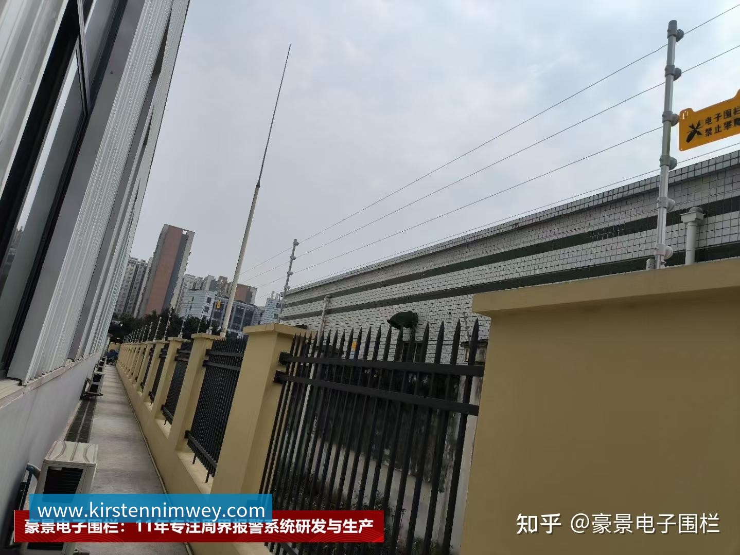 飞盘专题:深入解析上海飞盘队的战术与技术创新之路